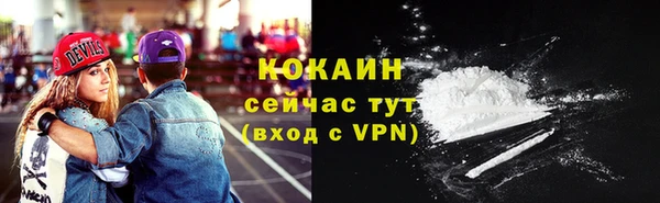 спиды Богданович