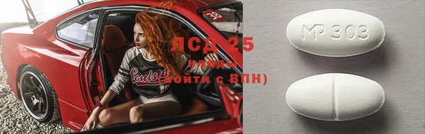 спиды Богданович