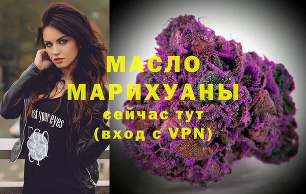 mix Богородицк