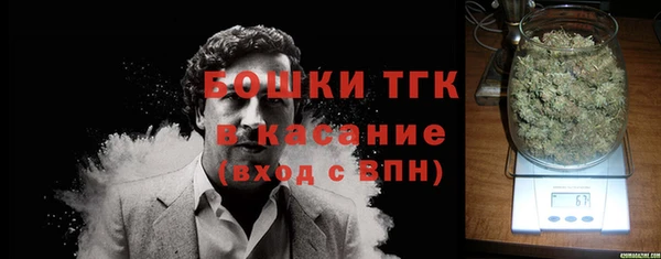 спиды Богданович