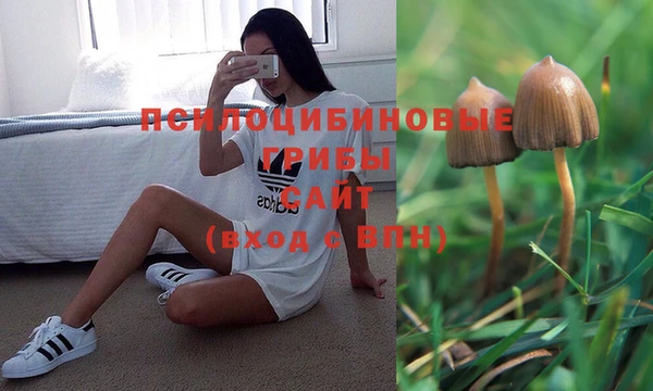 mix Богородицк