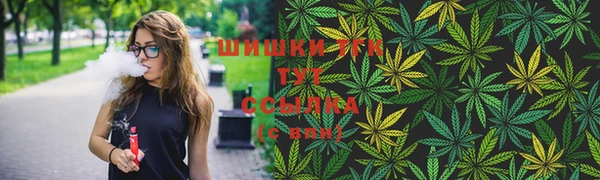 mix Богородицк