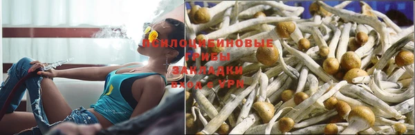 mix Богородицк