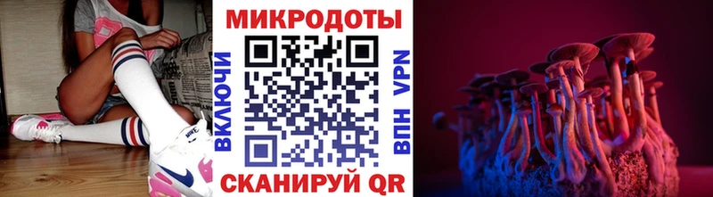 Галлюциногенные грибы мухоморы  Черноголовка 