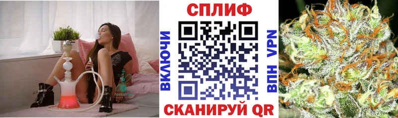 hydra вход  Черноголовка  Шишки марихуана сатива  где можно купить  